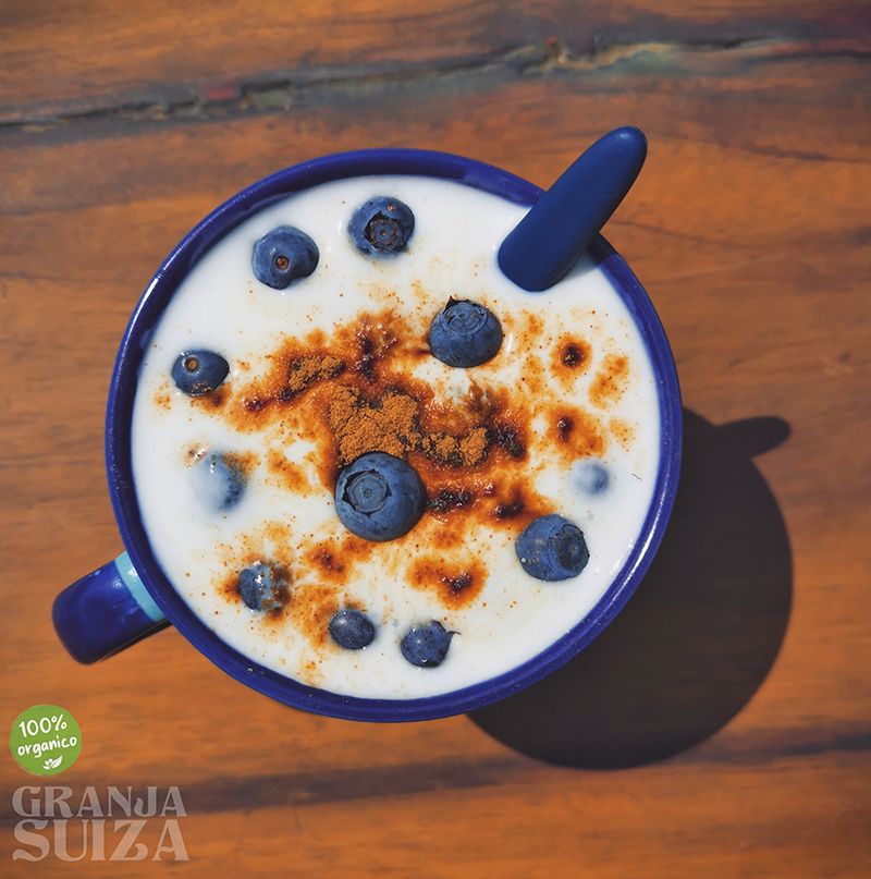 blueberryyoghurtcinna001