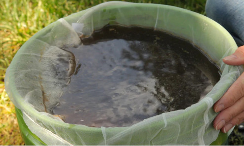 compost-tea2