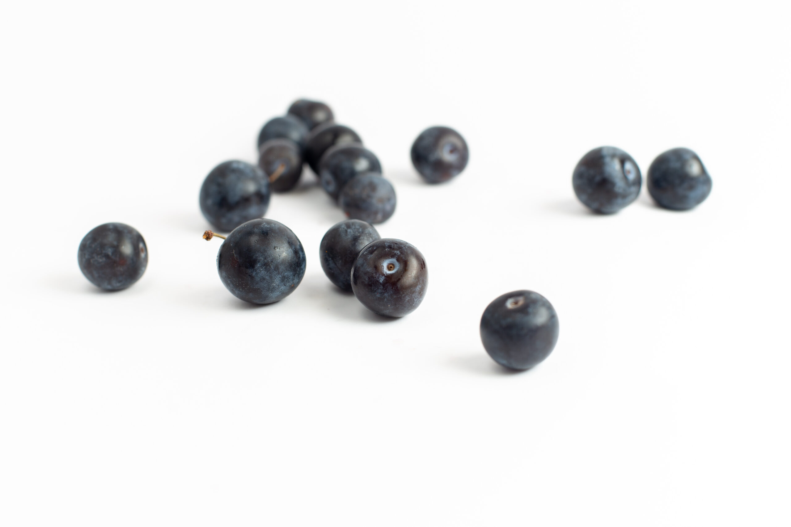 front-view-fresh-blackthorns-sour-dark-fruits-white-background-fruit-fresh-summer-juice-wine
